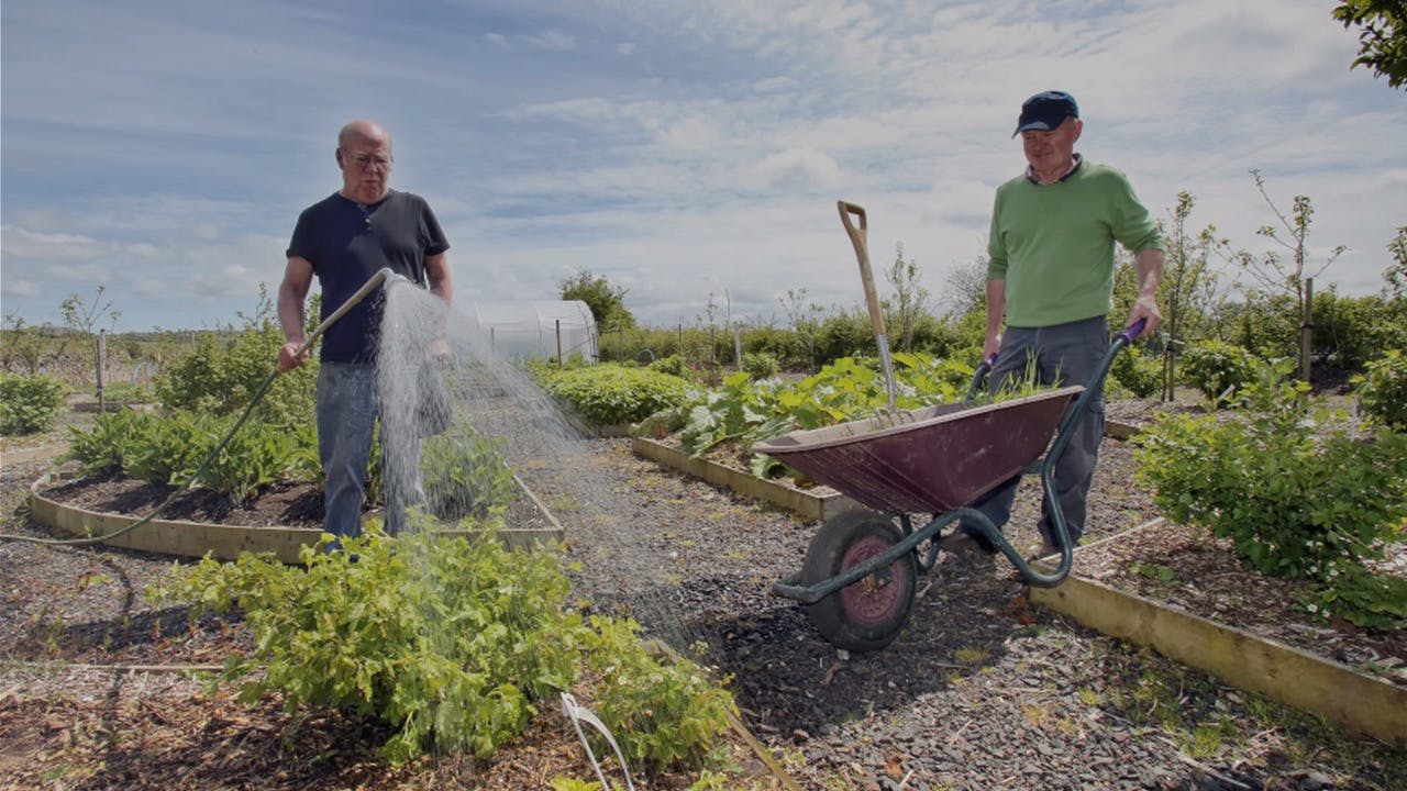 Cloughmills Community Action